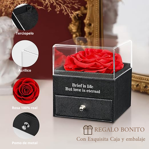 Rosa Roja Eterna