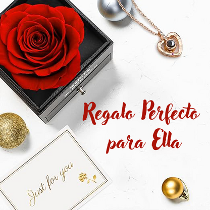 Rosa Roja Eterna